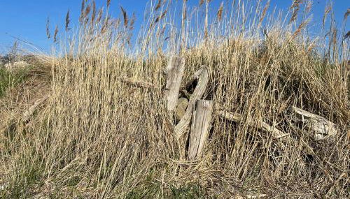 Ferienhaus geStRanDeT - Photo 5