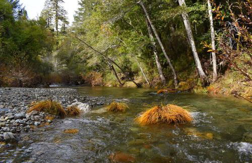 Caz-A-Verde - Foto 58