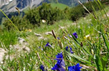 Landhaus Via Decia - Bad Hindelang PLUS Partner - Foto 18