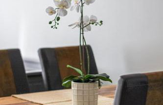 Spacious flat close to center - Foto 8