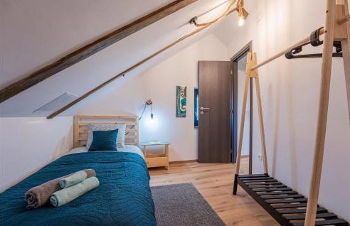 Amazing Home In Gornje Plavnice - Foto 33