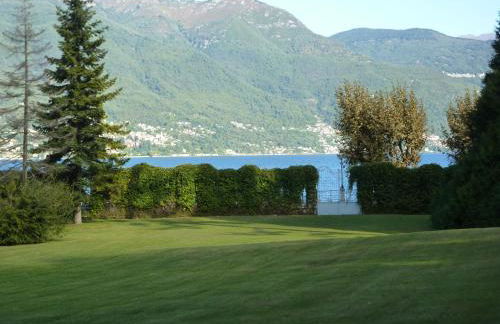 Hermitage mimosa - Photo 19