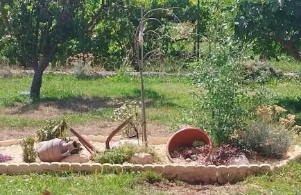 La Sartén - Foto 66