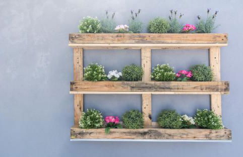 OrangeTreeHouses - Foto 16