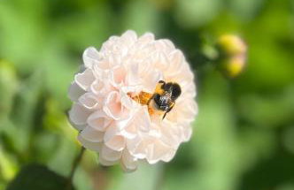 Casa Rural Goikola - Foto 76