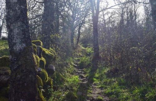 Casa da Escola By Villa Regalenga - Foto 11