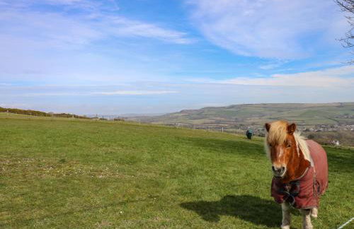 The Retreat - Photo 21