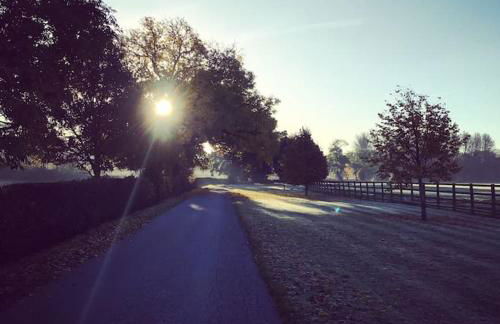Groves Barn at Norton Grounds - Photo 28