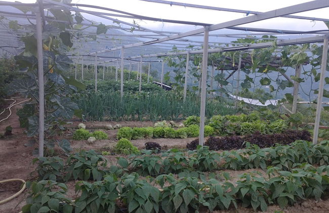 Agriturismo Al Pagan - Foto 25