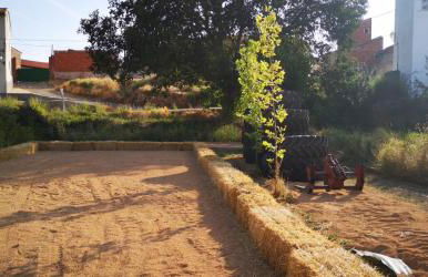 Casa rural L´Amparo -3 espigas- Categoría superior-15 personas - Foto 23