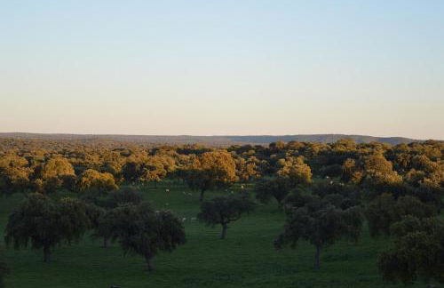 Cortijo Charcollana - Foto 55
