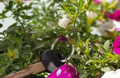 Apartment Lara - Photo 35