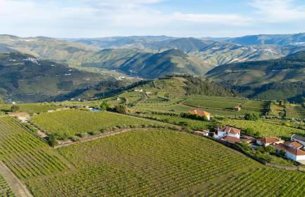 Casa do Vale - Retreat in the Douro Vineyards - Photo 8