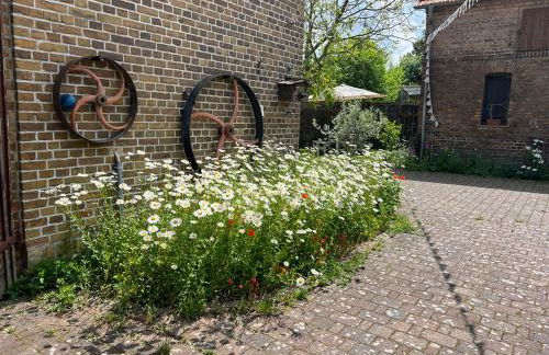 Ferienhof Schmetterlingsgarten - Foto 13