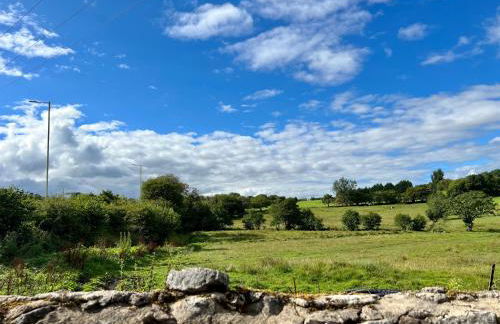 Penderyn Cottage, Waterfall Country, Brecon Beacons - Photo 63