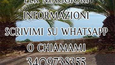 Bellissima Cervo - Foto 4