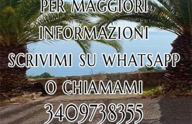 Bellissima Cervo - Foto 4