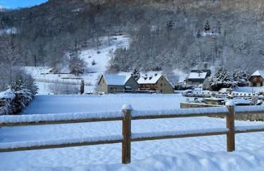 Vignec/Saint-Lary - T2 cosy avec balcon & piscine - Foto 16