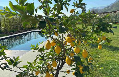 Haus Wiesenstein - Foto 34