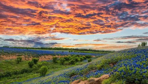 Modern 3 2 two Kings hot tub Fire pit 16min to Wine Trail Nearby Pickleball Courts Pools - Foto 3