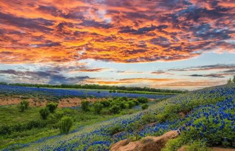 Modern 3 2 two Kings hot tub Fire pit 16min to Wine Trail Nearby Pickleball Courts Pools - Foto 3