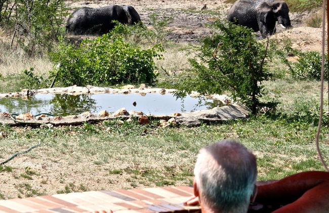 Silonque Bush Estate & Spa - Foto 17