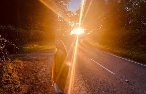 Somerleyton Meadows - Somerley House plus Hut & Hot Tub - Foto 18