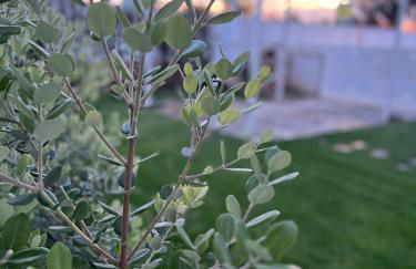 VILLA GIORGIA - Foto 5