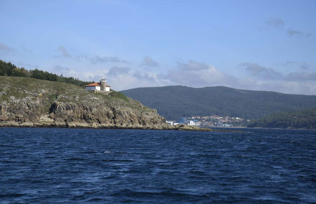 Paseo en barco por la ría de Corcubión - Foto 5