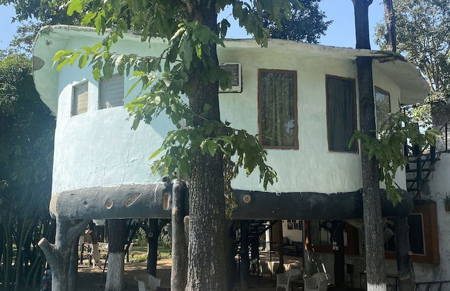 Tigerwoods Kanha Resorts & Spa - Foto 11