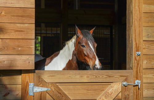 Farm Stay Modern Barndominium in Lakeland! - Foto 22