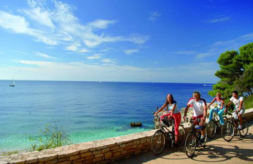 Villa Mare & Monti Istra - Foto 32