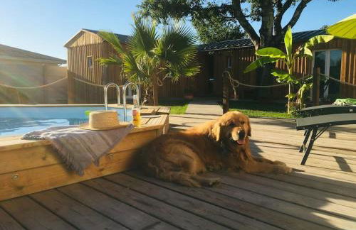 les petits chalets de kzo - Foto 10