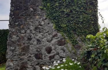 O Pomar do Gasparinho - Foto 40