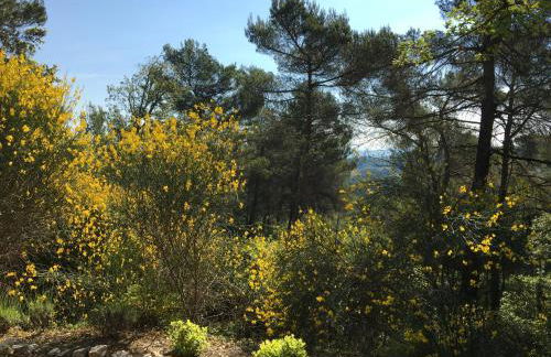 Villa de Carbonelle - Foto 43