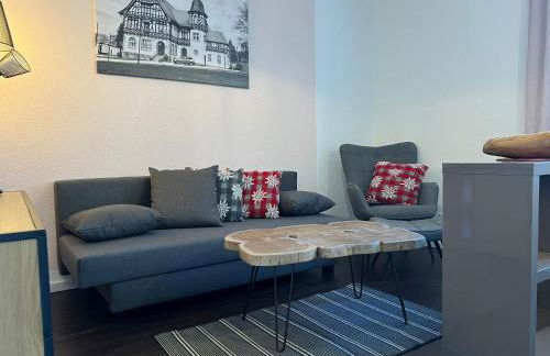 Ferienwohnungen Historische Post - Foto 36