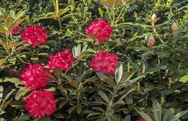 Pension zum Reiterhof, Fewo 2 - Foto 15