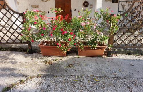 cottage lavanda e rosmarino - Foto 37