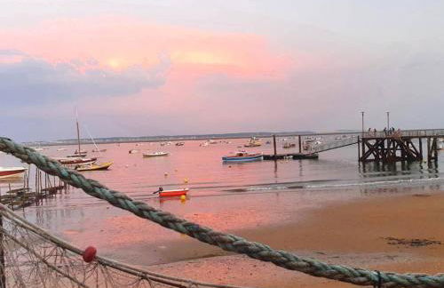 Charmante villa avec jardin clos, à 100m du Bassin d'Arcachon, proche plages et commerces, Wi-Fi - FR-1-736-47 - Foto 14