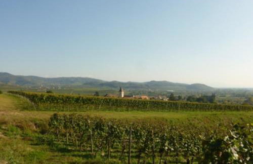 Bianca's Kaiserstuhl - Photo 11