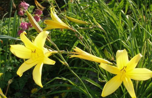 Aparthotel Grabner - Foto 46