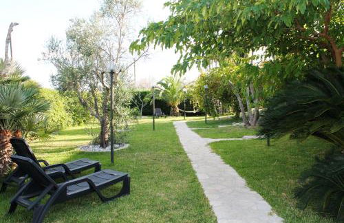 Vecchio Ulivo - Foto 16