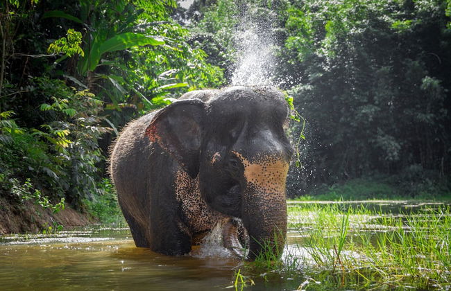 Villa Destiny - Foto 36