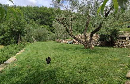 Ca Giulietto Antico Casale in Lunigiana - Foto 6