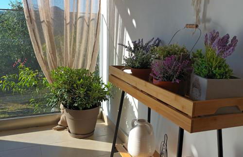 la piccola montagna 2 - Foto 28