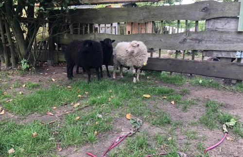 FEWO Elbe Weser - Foto 22