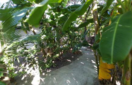 Casa inteira, com sauna, piscina ozonizada, praia Enseada dos Corais, Cabo de Santo Agostinho, Pernambuco, Brasil - Foto 32