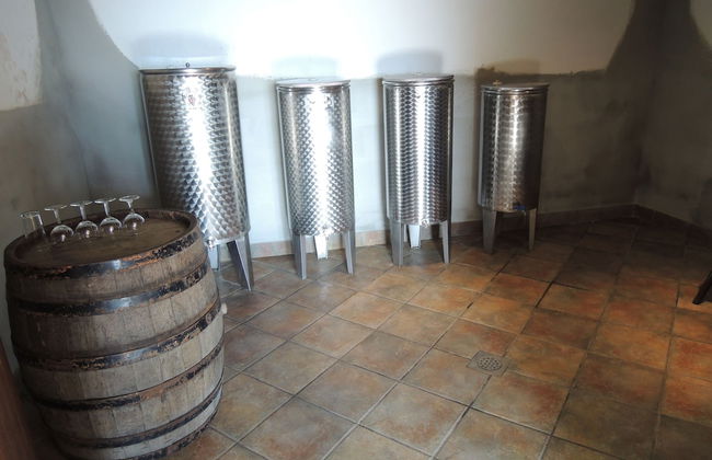 Vineyard cottage Janko in Metka - Foto 10