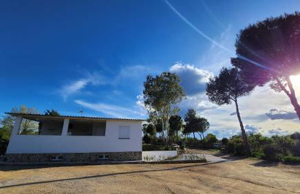 Agroturismo Viña Inés Toledo - Photo 41