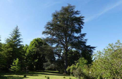 Le Petit Chateau - adults only property - Foto 40